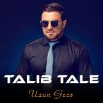album image Uzun gece 2018(vk.com/azerbaycan_toy_mahnilari) Uzun Gecə - Single