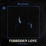 album image Forbidden Love ft. Maiah Manser Forbidden Love (feat. Maiah Manser) - Single