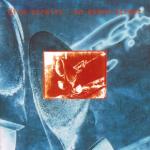 album image The Bug On Every Street (Remastered)