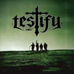 album image Goodbye For Now Testify