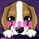 album image Perra Perra - Single