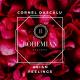 Cornel Dascalu - Asian Feelings