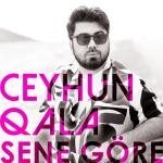 album image Sene Gore _ Yeni 2018(MP3_70K)_1