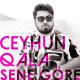 Ceyhun Qala - Sənə Görə