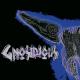 Gnosidious - Mercury