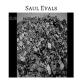 Saul Evals feat. Dilaudnumb - Dandelions (Reprise) [feat. Dilaudnumb]