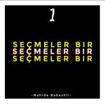 album image Nahide Babashli - Her kes gidermi?🎸(cover)
