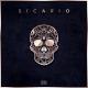 Sleiman - Desperado