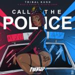 album image Call the Police Call the Police (feat. Blaiz Fayah & Richie Loop) - Single