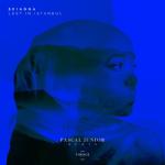 album image Lost in Istanbul Lost in Istanbul (Pascal Junior Remix) - Single