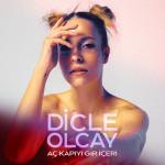 album image Ac Kapiyi Gir Iceri (BRB) Aç Kapıyı Gir İçeri (Akustik) - Single