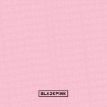 album image DDU-DU DDU-DU BLACKPINK IN YOUR AREA