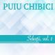 Puiu Chibici - Era de-ajuns pacatul meu