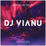 album image DJ Vianu - Driving Me Crazy (Original Mix) Driving Me Crazy - Single