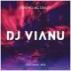 DJ Vianu - Driving Me Crazy (Original Mix) - DJ Vianu - Driving Me Crazy (Original Mix)
