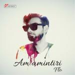 album image Am Amintiri Am Amintiri - Single