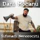 Dani Mocanu - Va pun interdictie