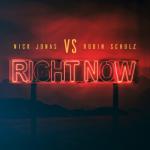 album image Right Now Right Now - Single
