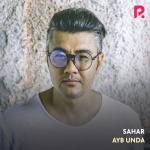 album image Ayb Unda