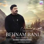 album image Hanooz Dooset Daram Hanooz Dooset Daram - Single