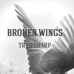 album image Broken Wings (Prod. By Vegas) Broken Wings - Single