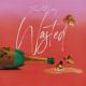 Jesse McCartney - Wasted