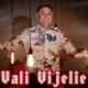 Vali Vijelie feat. Liviu Pustiu' - E Mare Petrecere