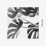 album image Pleasure In The Pain By My Side - Single