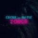 Cecile feat. DJ Fly feat. DJ Fly - Touch