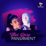 album image Pansament Pansament (Radio Edit) - Single