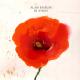 Alain Bashung - Immortels