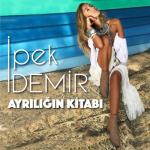 album image Ayriligin Kitabi (TRmusic) Ayrılığın Kitabı - Single