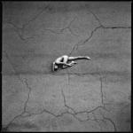 album image Please Die Alone