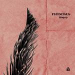 album image Promises (Anevo Cover Remix) Promises - Single