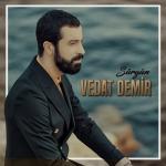 album image Sürgün Sürgün - Single