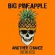 Big Pineapple - Another Chance (Don Diablo Chill Mix)