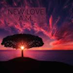 album image HƏYATİ RƏQSİ New Love - Single