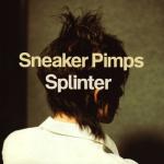 album image Destroying Angel Splinter