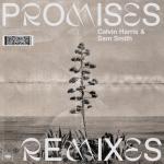 album image Promises (Mousse T.'s Extended Disco Shizzle Remix) - SunFamily Top 2018 Promises (Remixes)