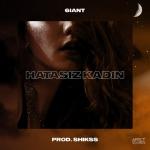 album image Hatasız Kadın Hatasız Kadın - Single