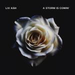 album image A Storm Is Comin A Storm Is Comin - Single