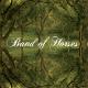 Band Of Horses - The Funeral