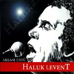 album image Haluk Levent Akşam Üstü
