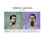 album image Mind of the Wonderful Mind of the Wonderful (All Mixes)
