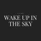 Lil High Vibes - Wake Up In The Sky