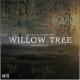 meme - Willow Tree