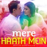 album image Kyon Hawa Mere Haath Mein - Hits of Sonu Nigam