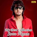 album image Dil Ne Yeh Kaha Hain Dil Se (From "Dhadkan") My Best Collection - Sonu Nigam