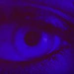 album image Won't Won't - Single
