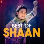album image Hey shona Best of Shaan